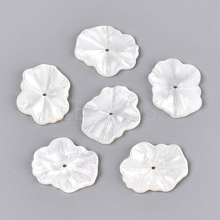 Natural White Shell Carved Leaf Beads BSHE-T014-31A-1