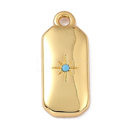 Brass Micro Pave Cubic Zirconia Charms ZIRC-I054-12G-06-1
