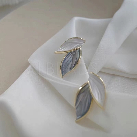 Alloy & Acrylic Earrings for Women FS-WG85681-03-1